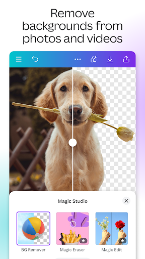 Screenshot Canva 6